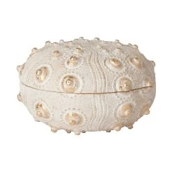 Outlet 🌟 Mercana Moselle II Cream Sea Urchin Storage Box - 6.3"W X 6.3"D X 4"H 🥰