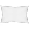 Budget 🧨 Mercana Plume V (down Pillow Insert Only) White 13x21 Pillow Insert 😉